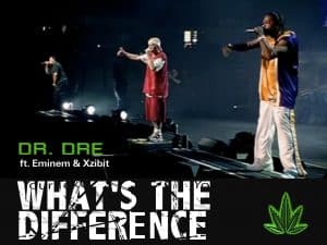 image Dr Dre Eminem & Xzibit live What's The Difference
