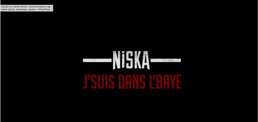 image Niska du clip Dans L'Bail