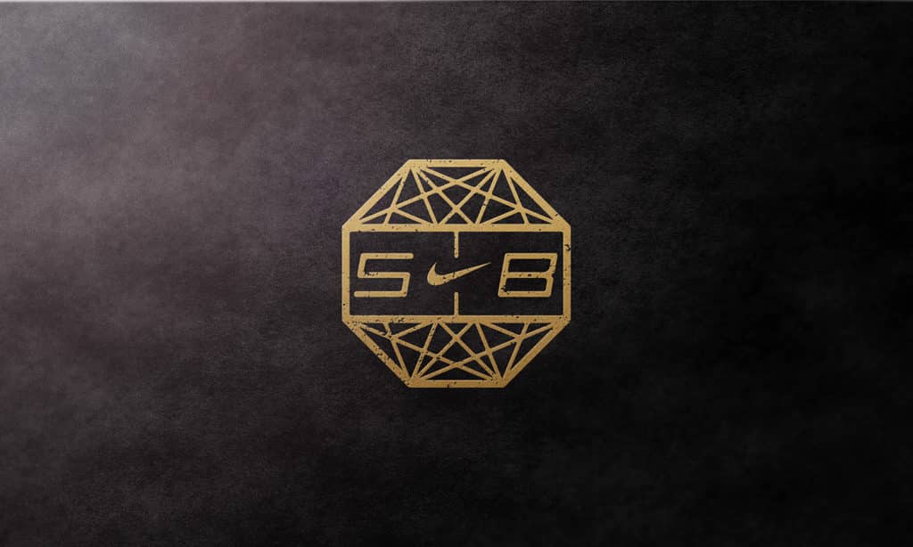 image nike sb true to form