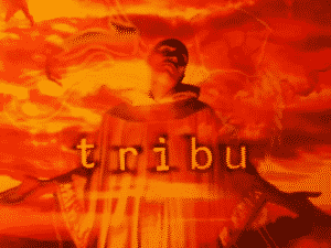 image-tribu-album