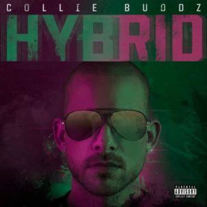 image hybride album collie budz cover