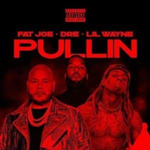 Opération : paralyser l'été, tel est l'objectif de Fat Joe, Dre et Lil Wayne avec le nouveau titre. Un tube en puissance intitulé "Pullin'.