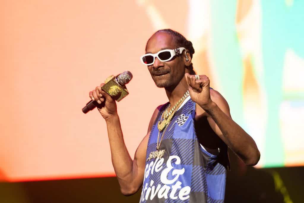 Snoop-Doog-Algorithm