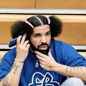 Drake-detracteurs