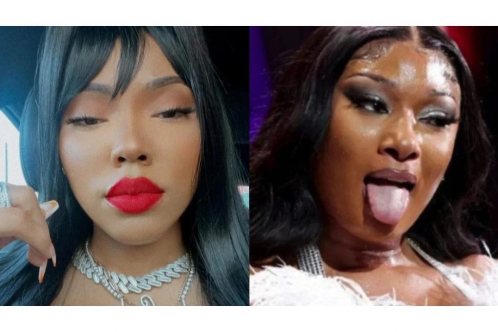 Nessacary accuse Megan Thee Stallion