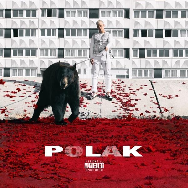 image plk album polak cover